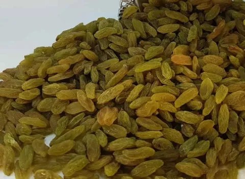 تصویر 2 از قیمت کشمش تیزابی لوکس  + خرید باور نکردنی